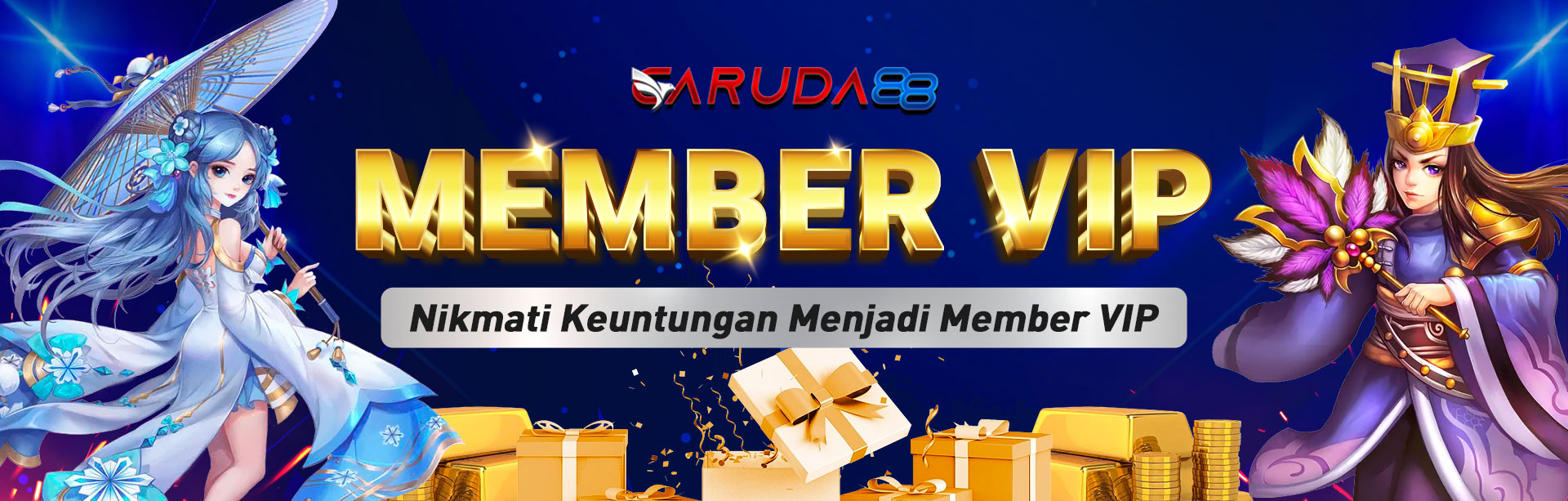 MEMBER VIP